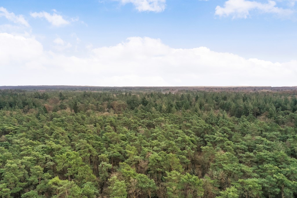 Anna Paulownalaan 172_44.jpg